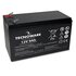 Tecnoware EACPE12V09ATWL batteria UPS Acido piombo (VRLA) 12 V 9 Ah