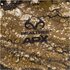 Think Tank Hydrophobia D 70-200 Rain Cover (Realtree Camo)