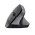 Trust Bayo II mouse Mano destra RF Wireless Ottico 2400 DPI