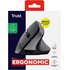 Trust Bayo II mouse Mano destra RF Wireless Ottico 2400 DPI