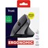Trust Bayo II mouse Mano destra USB tipo A 2400 DPI