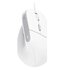 Trust Bayo II mouse Ufficio Mano destra USB tipo A Ottico 2400 DPI