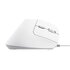 Trust Bayo II mouse Ufficio Mano destra USB tipo A Ottico 2400 DPI