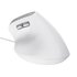 Trust Bayo II mouse Ufficio Mano destra USB tipo A Ottico 2400 DPI