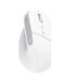 Trust Bayo+ mouse Ufficio Mano destra RF senza fili + Bluetooth Ottico 2400 DPI
