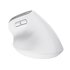 Trust Bayo+ mouse Ufficio Mano destra RF senza fili + Bluetooth Ottico 2400 DPI