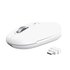 Trust Seron Slim Multi mouse Ufficio Ambidestro RF senza fili + Bluetooth Ottico 3200 DPI