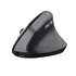 Trust TM-270 mouse Ufficio Mano destra RF Wireless Ottico 2400 DPI Verticale