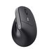 Trust TM-270 mouse Ufficio Mano destra RF Wireless Ottico 2400 DPI Verticale