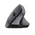 Trust TM-270 mouse Ufficio Mano destra RF Wireless Ottico 2400 DPI Verticale