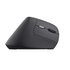 Trust TM-270 mouse Ufficio Mano destra RF Wireless Ottico 2400 DPI Verticale