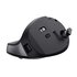 Trust TM-270 mouse Ufficio Mano destra RF Wireless Ottico 2400 DPI Verticale