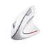 Trust Verto mouse Mano destra RF Wireless Ottico 1600 DPI