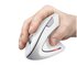 Trust Verto mouse Mano destra RF Wireless Ottico 1600 DPI