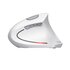 Trust Verto mouse Mano destra RF Wireless Ottico 1600 DPI