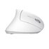 Trust Verto mouse Mano destra RF Wireless Ottico 1600 DPI