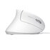 Trust Verto mouse Mano destra USB tipo A Ottico 1600 DPI