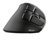 Trust Voxx Mano destra Wireless a RF + Bluetooth Ottico 2400 DPI