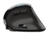 Trust Voxx Mano destra Wireless a RF + Bluetooth Ottico 2400 DPI