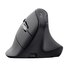 Trust Vyran mouse Universale Mano destra RF senza fili + Bluetooth Ottico 4800 DPI