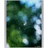 TTartisan 100mm f/2.8 Bubble Bokeh