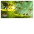 Ubisoft Rayman Legends: Definitive Edition Code in Box Nintendo Switch