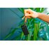 Verbatim Pocket SSD 1 TB USB tipo-C 3.2 Gen 2 (3.1 Gen 2) Nero, Arancione