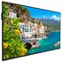 Vestel DA65A-6K visualizzatore di messaggi Pannello piatto interattivo 165,1 cm (65