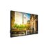 Vestel PR65D-4H visualizzatore di messaggi Pannello piatto per segnaletica digitale 165,1 cm (65