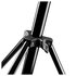 Walimex Jumbo Lamp Tripod 600cm AIR