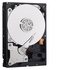 Western Digital HDD WD Blue 3.5