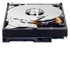 Western Digital HDD WD Blue 3.5