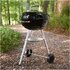 Weber 1502054 barbecue per l'aperto e bistecchiera Kettle Carbone (combustibile) Nero, Grigio