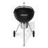 Weber 1502210 barbecue per l'aperto e bistecchiera Carrello Carbone (combustibile) Nero