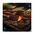 Weber 7680 Griglia