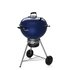 Weber Master-Touch GBS C-5750