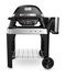 Weber Pulse 2000 con Stand Nero, Argento