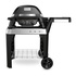 Weber Pulse 2000 con Stand Nero, Argento