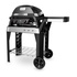 Weber Pulse 2000 con Stand Nero, Argento