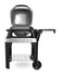 Weber Pulse 2000 con Stand Nero, Argento