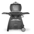 Weber Q 3200 con stand