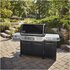 Weber Summit FS38X E Barbecue Barile GPL Nero, Acciaio inox 19050 W
