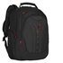 WENGER /SwissGear Pegasus Deluxe 16