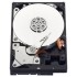 Western Digital Blue 1TB HDD SATA III