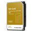Western Digital HDD WD Gold SATA di classe enterprise