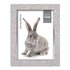 Zep Doneck B Cornice per foto singola Grigio