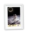 Zep KW11 cornice per quadro Bianco Cornice per foto singola