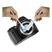 Servizi