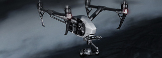 Professionali