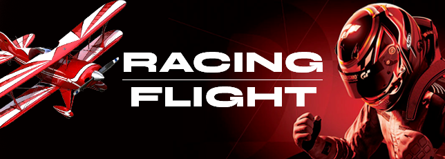 Racing Sim / Flight Sim